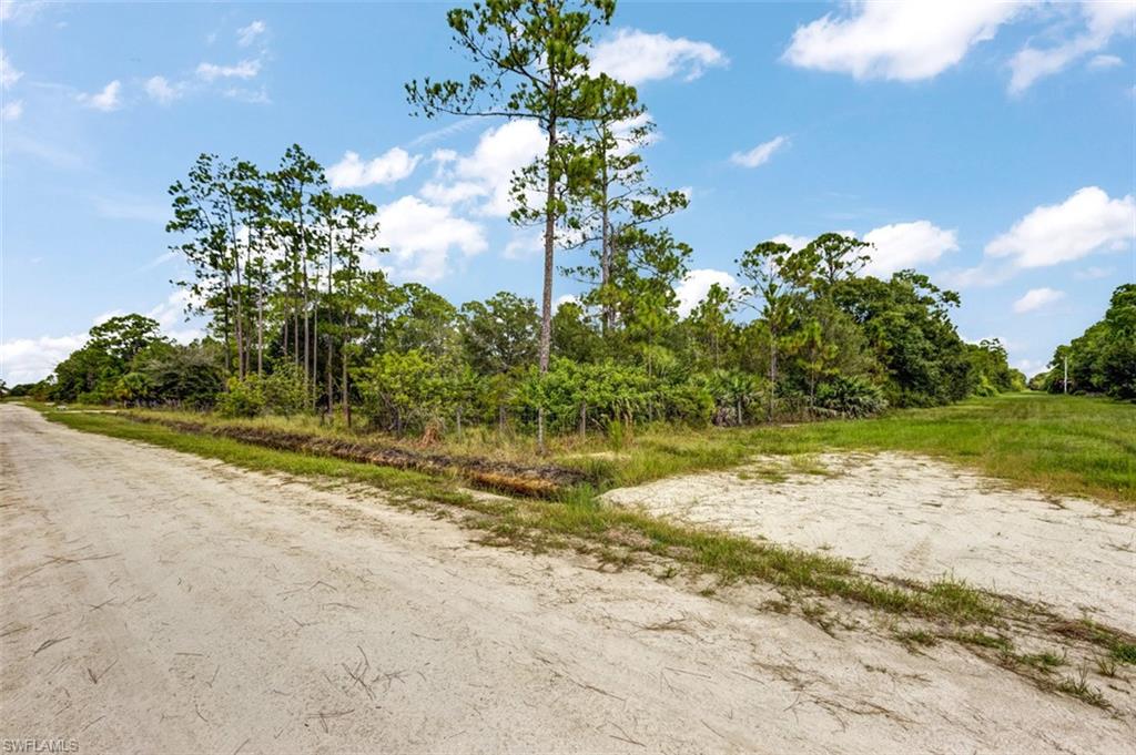 PIONEER PLANTATION - Land