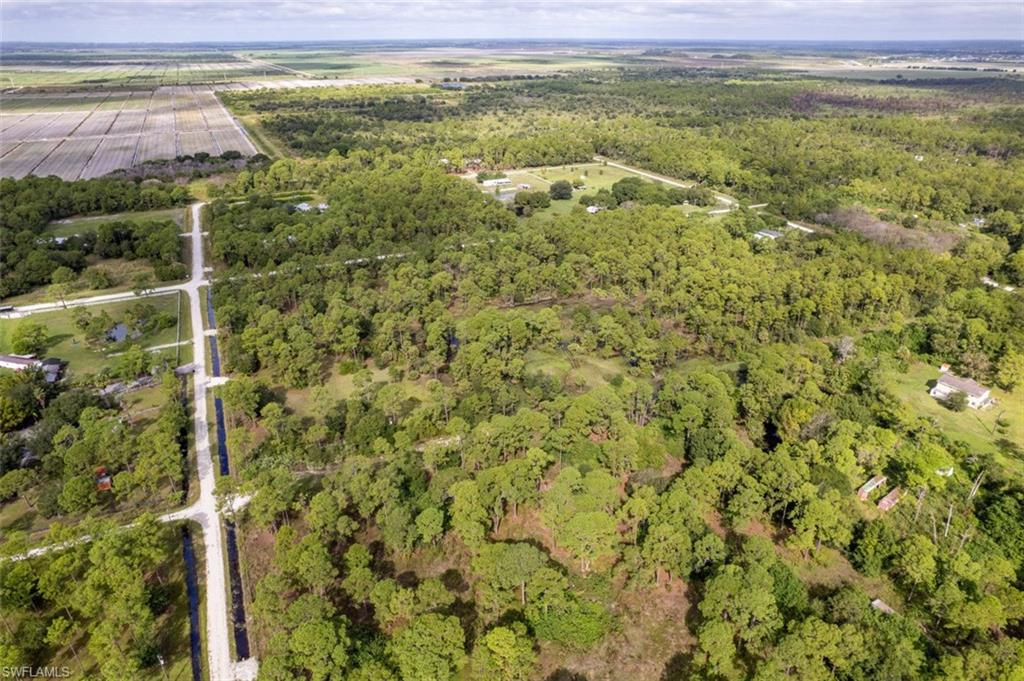 PIONEER PLANTATION - Land