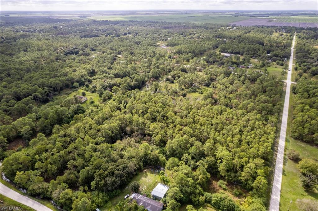 PIONEER PLANTATION - Land