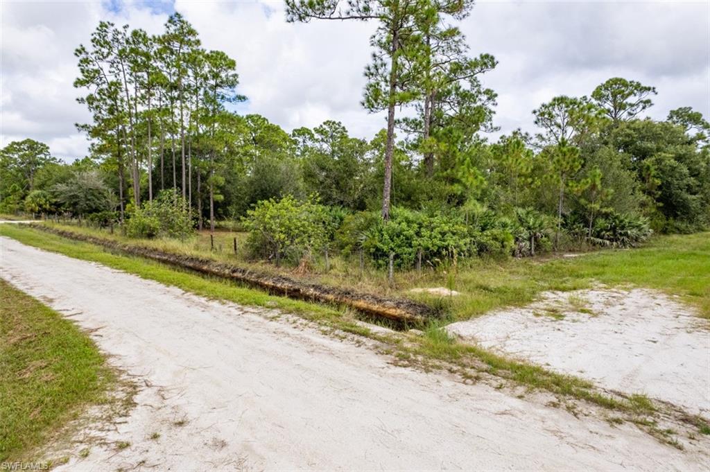 PIONEER PLANTATION - Land