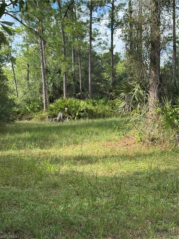 PIONEER PLANTATION - Land