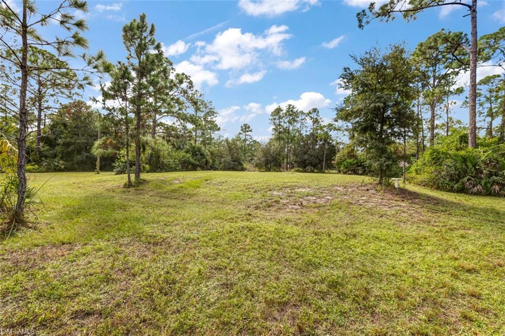 PIONEER PLANTATION - Land