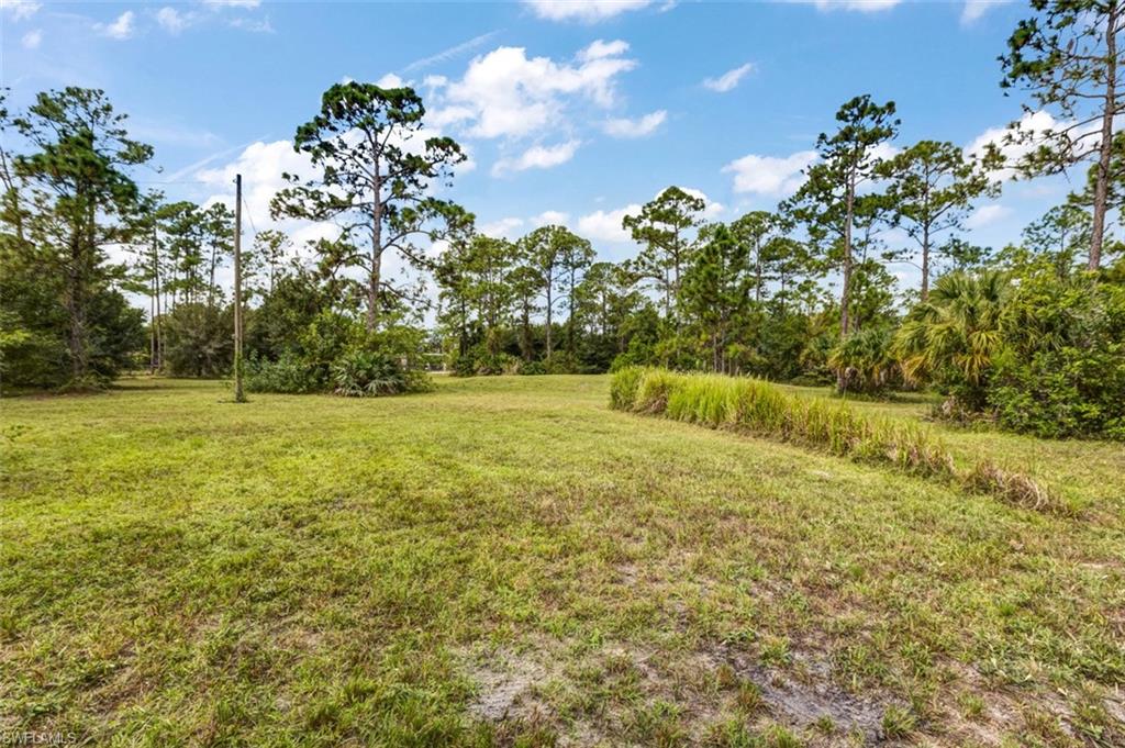 PIONEER PLANTATION - Land