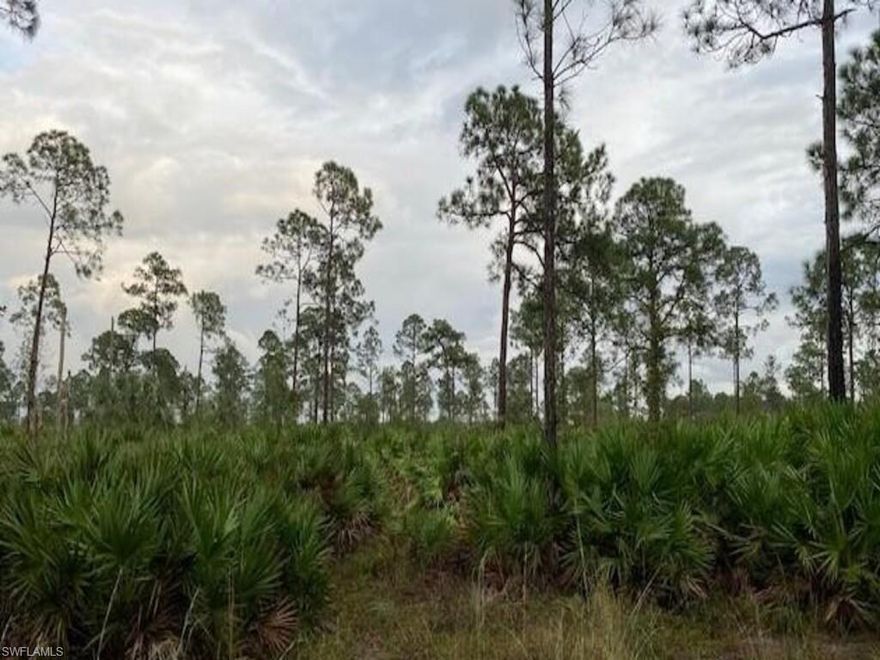 40 acre income producing Parcel off of SR-31. 100% uplands. In direct path of progress along SR-31 Corridor.  North of Babcock Ranch. Punta Gorda is one of the fastest growing cities in the U.S. Property can generate $65,000-$100,000 plus a year from saw palmetto berry harvesting. (1,000lbs an acre between $1.60-$3.50 a lb) Timber can be sold. Currently zoned agricultural. Property very easy to view from google earth as the roads on property were made to look like  "X marks the spot".  Prime location with zero wetlands mitigation to deal with. Can be bought for income or new owner can get rezoning info from the county and build. Turn off of SR-31.  Sign on property. Other signs with arrows were placed on the way to guide you. GPS may say you arrived prematurely. Keep driving Follow road till you reach sign on property.