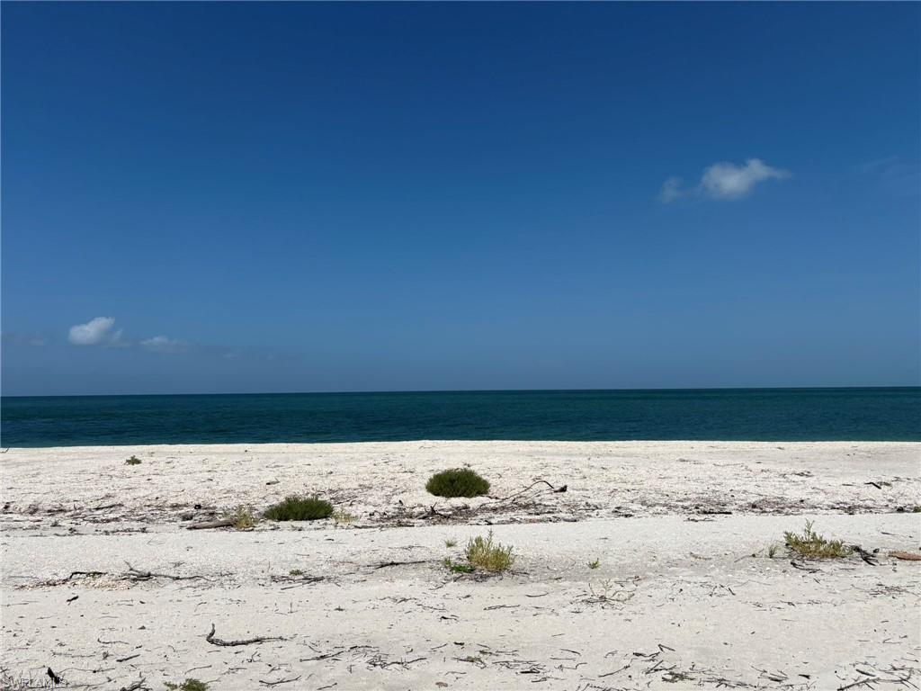 SAFETY HARBOR CLUB - Residential