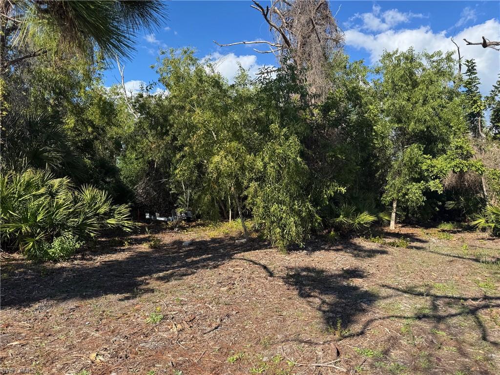 MANATEE BAY UNRECORDED SUBDIVISION - Land