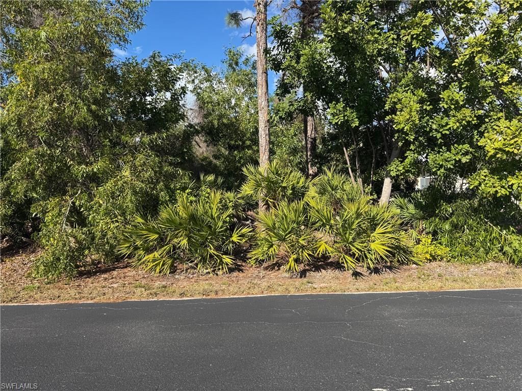 MANATEE BAY UNRECORDED SUBDIVISION - Land