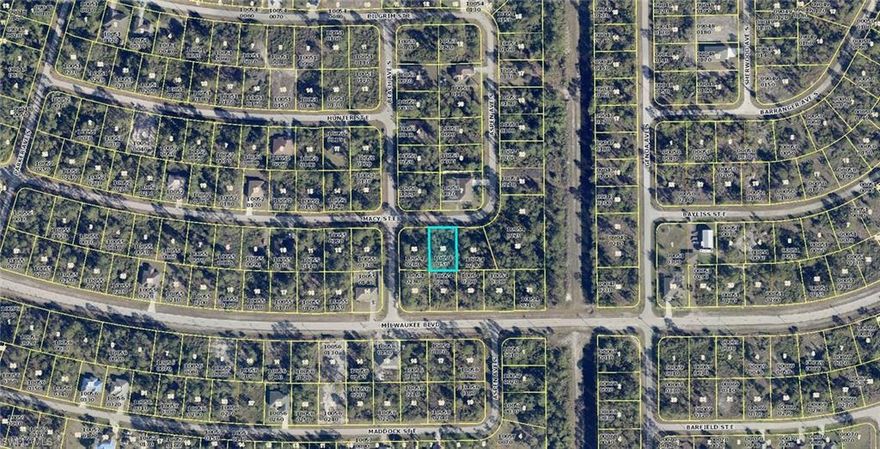 This is the perfect spot for your dream home!  Easy access to Milwaukee Blvd and Columbus Blvd and just a short drive to the newly expanded HWY 82, Fort Myers and Punta Gorda airports, two spring training facilities and beaches!