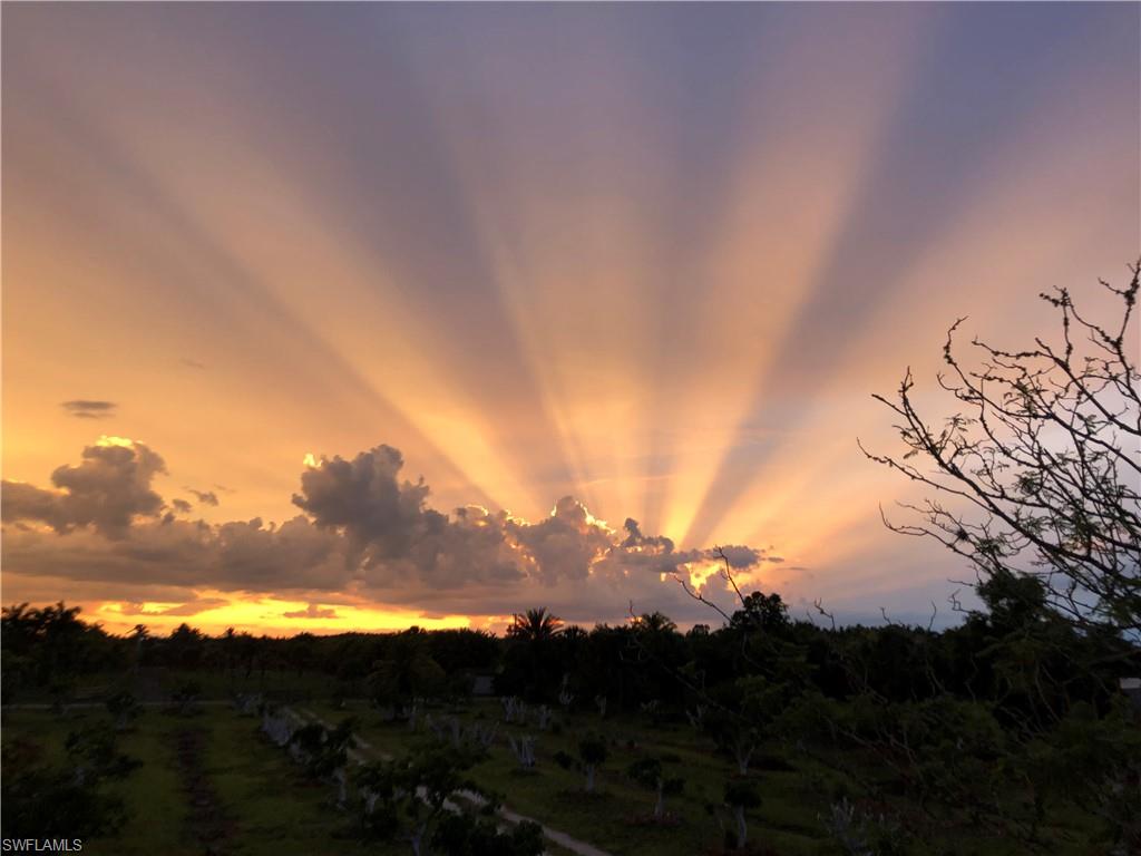 PINE ISLAND - Residential Lease