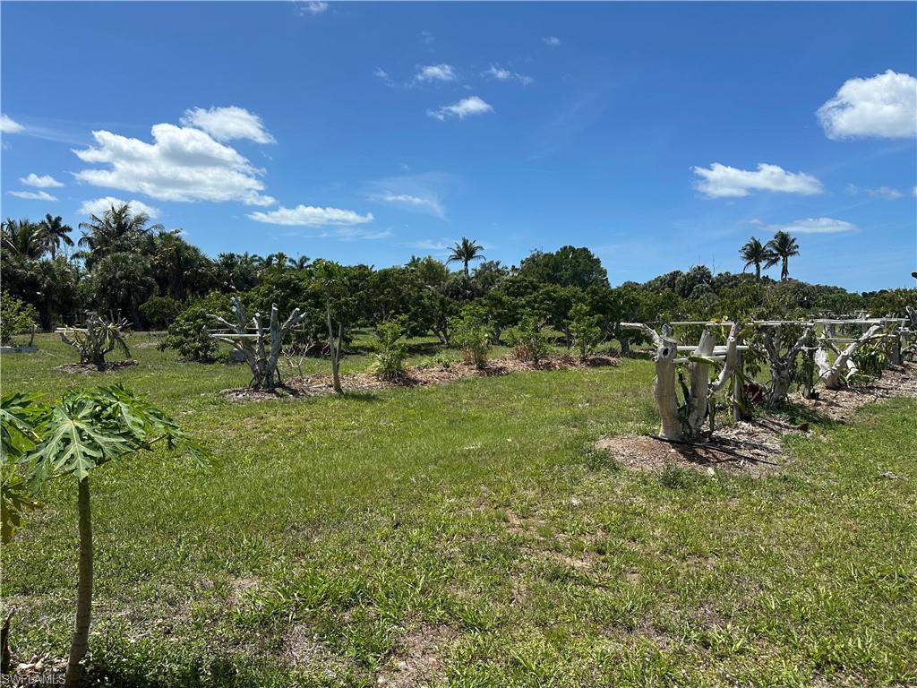 PINE ISLAND - Residential Lease