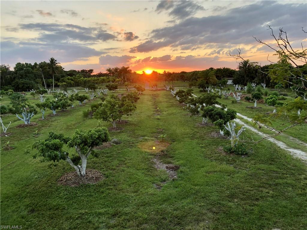 PINE ISLAND - Residential Lease