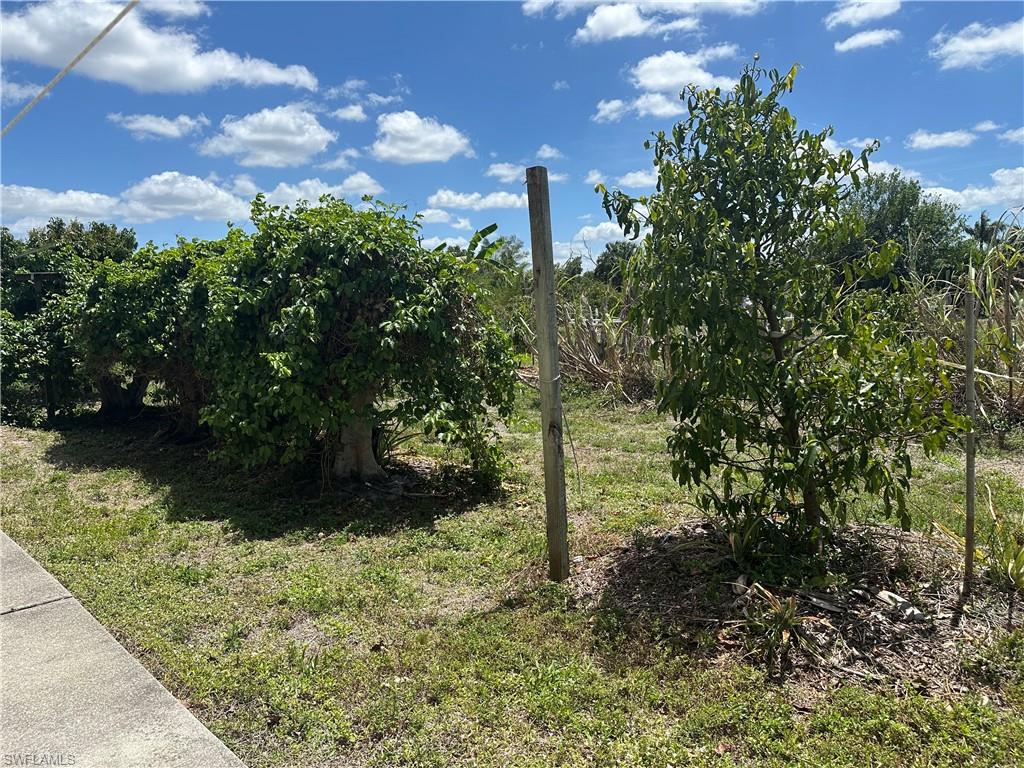 PINE ISLAND - Residential Lease