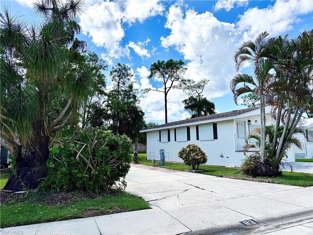 83 Vanda Sanctuary LN