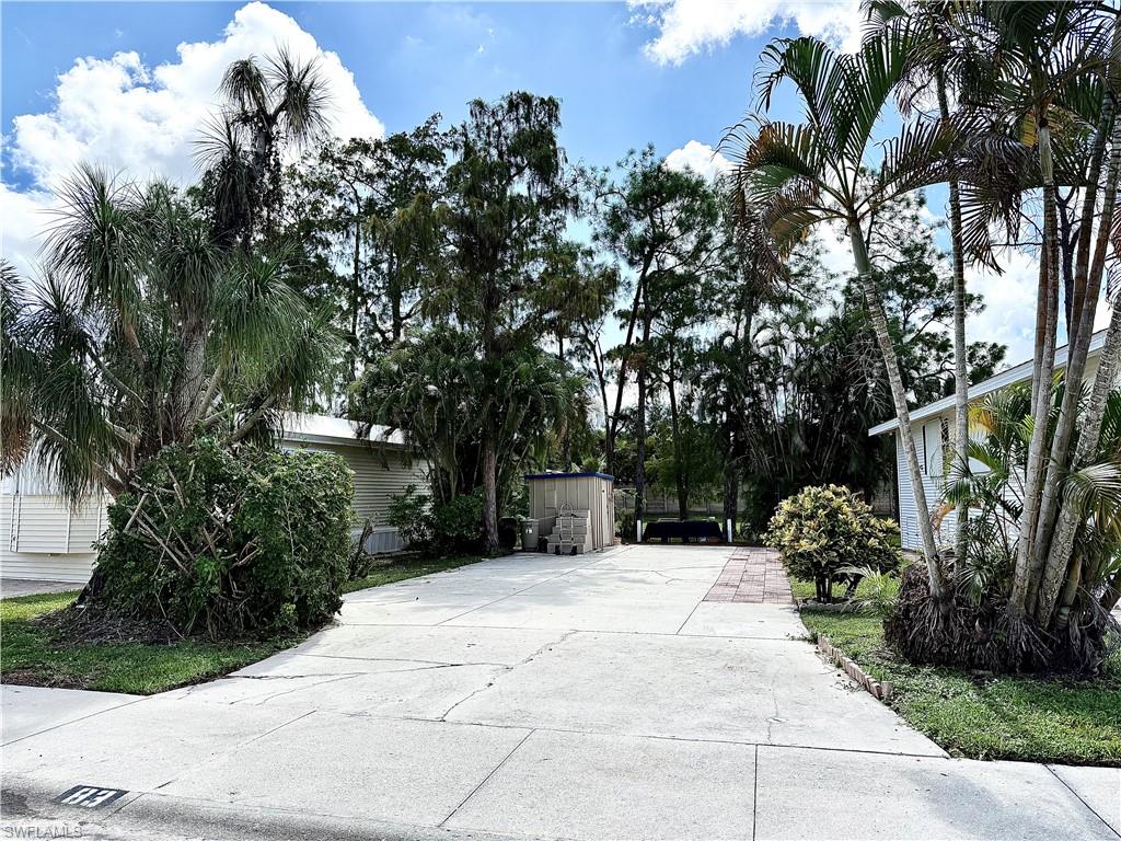 83 Vanda Sanctuary LN