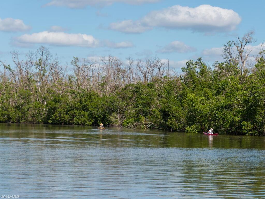TIGERTAIL - Residential
