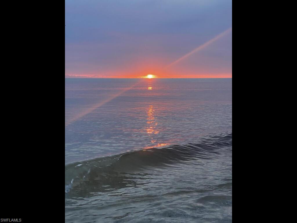 TIGERTAIL - Residential