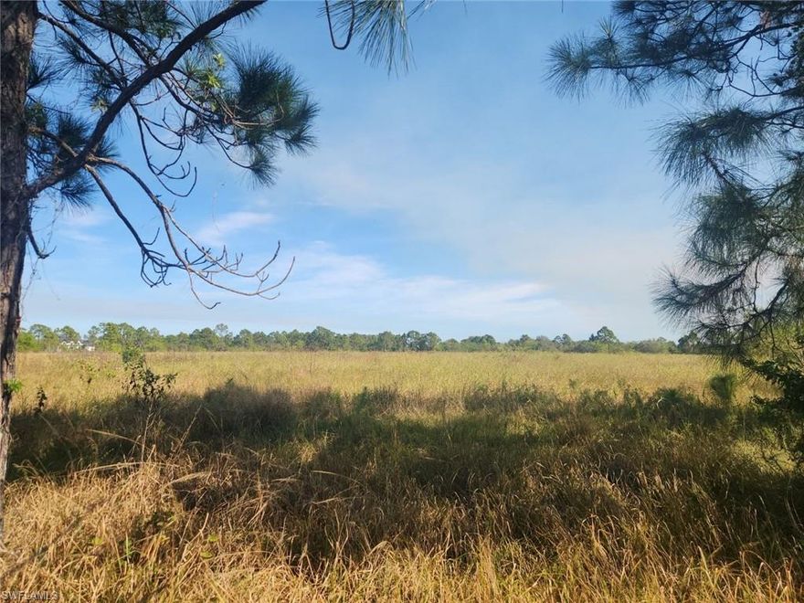 Looking for a place to build your new home?  We have the perfect acreage, great corner lot partially fenced proprety with culvert in place.  This parcel is well maintained and ready for your new construction or modular home!  Located in Ladeca Acres between Clewiston & LaBelle this location offers easy access to St Rt 80 and US Hwy 27.   This could be your mini-farm, just bring your horses!  Just a short drive to Airglades Airport & our famous Lake Okeechobee~make your appointment today!