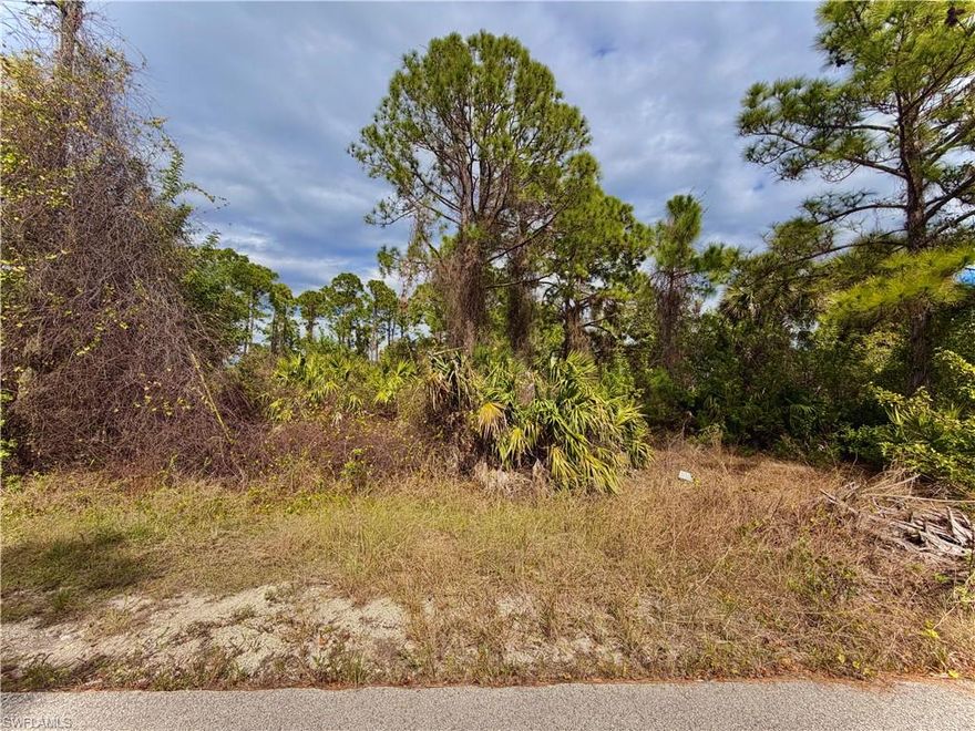 GREAT LOCATION on a quiet paved DEAD END street aside canal with utilities available in the HIGHLY DESIRABLE west side! Just minutes from major amenities with a quick commute to Fort Myers! Come build your DREAM HOME or INVEST today.
