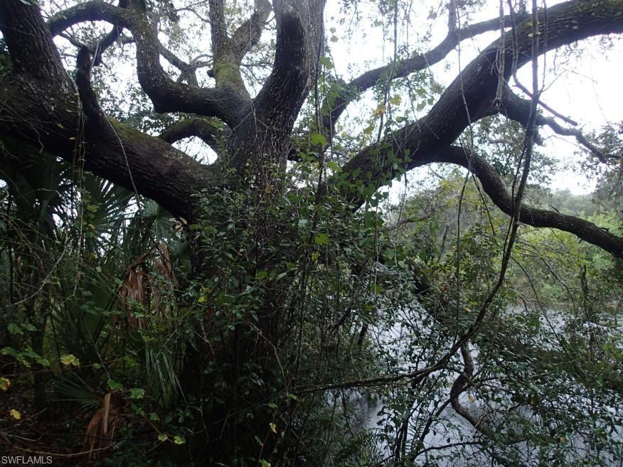 HARBOR HEIGHTS - Land