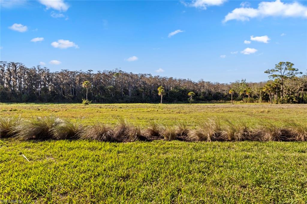 DEL WEBB - Residential