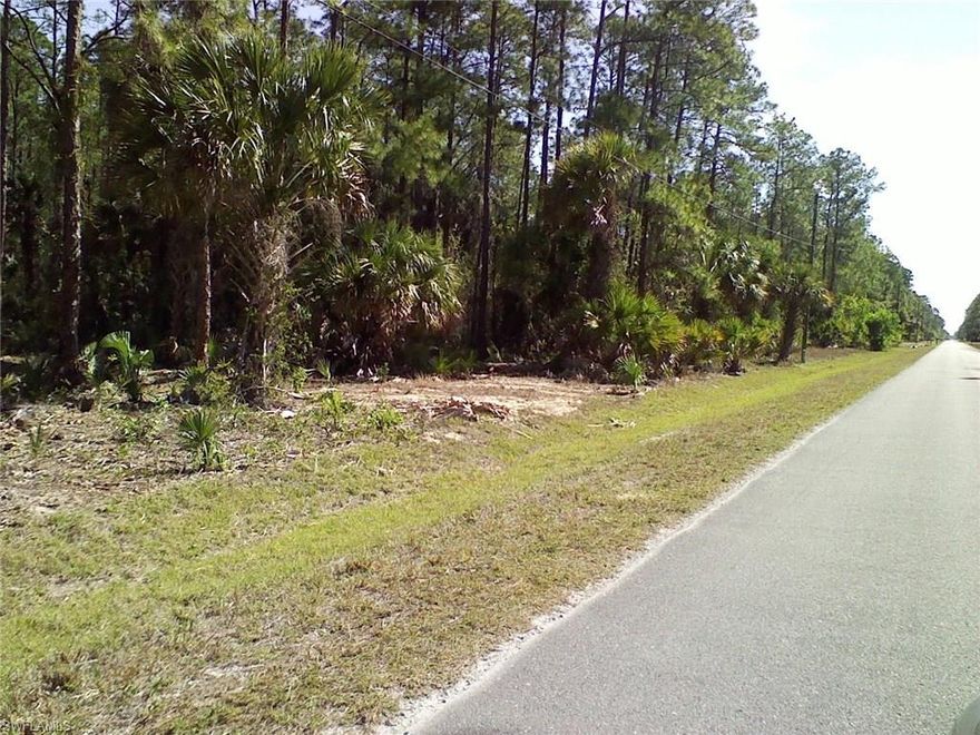 Start Building Seller has DEP Determination - No Wet Lands 2.5 Acres of 100% Uplands!!!!
Build your dream house with room for a pool, guest house and Workshop/Garage
Close to New Publix and Top Rated Schools 
Located off Randall Blvd. Turn Right on 8th St NE, then another right on 12th Ave NE - the lot will be on your Right Hand Side just East of house number 441 
Please see Remarks