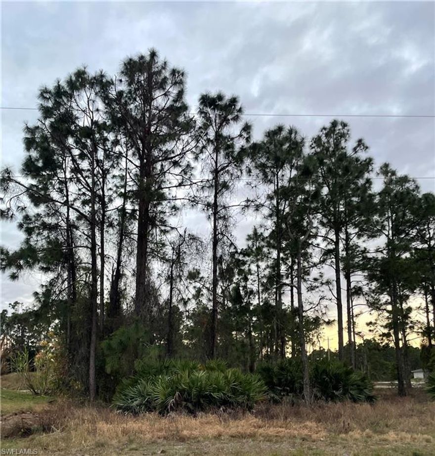Conveniently located near SR 82, airport, shopping, and highways.  Lehigh Acres is one of the fastest growing cities in the country.  Build your dream home or hold for an investment, this residential lot with canal is in one of the most desirable locations in the area.