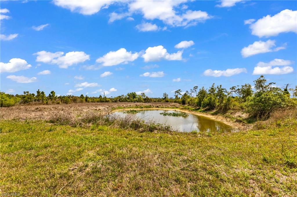 PUNTA GORDA - Residential