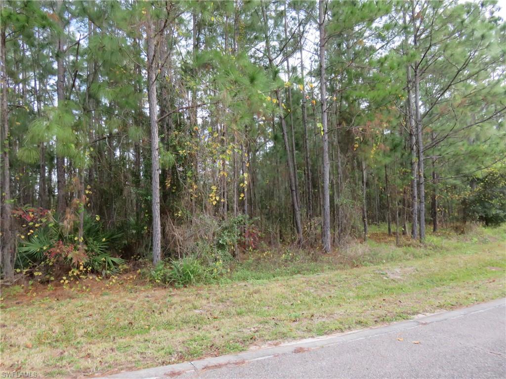 NOT APPLICABLE - Land