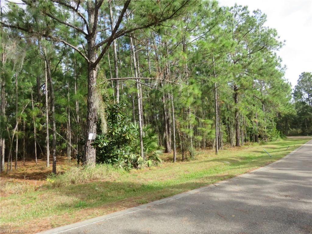 NOT APPLICABLE - Land