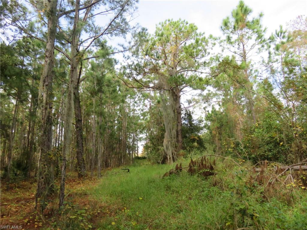 NOT APPLICABLE - Land