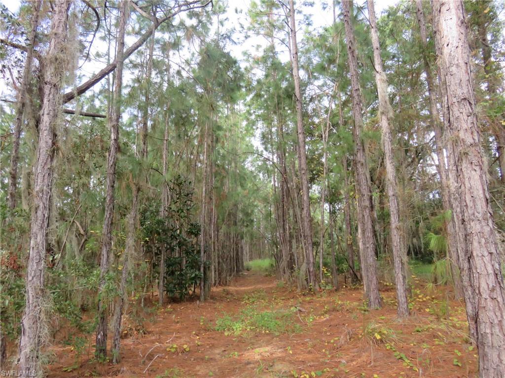 NOT APPLICABLE - Land