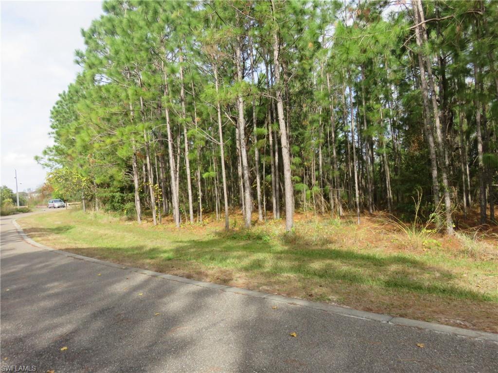 NOT APPLICABLE - Land