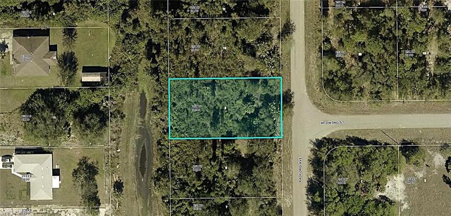 Welcome to one of the most active growth corridors in Southwest Florida. This .27-acre residential lot is situated on a paved road with nearby power, no HOA fees or restrictions, and is located within a non-flood zone area. This property presents an incredible opportunity for individuals looking to design and build their dream home, tailored to their specific needs.

Conveniently located with easy access to SR-82, I-75, Fort Myers, Cape Coral, Southwest Florida Airport, Seminole Casino, schools, shopping, restaurants, and entertainment, this lot offers a lifestyle of convenience and enjoyment for you and your family.

Whether you are looking to build now or add to your investment portfolio, this property provides a great opportunity to secure a piece of real estate in a desirable location while prices are still affordable. Don't miss out on this chance to create your ideal living space in one of the most sought-after areas in Southwest Florida.