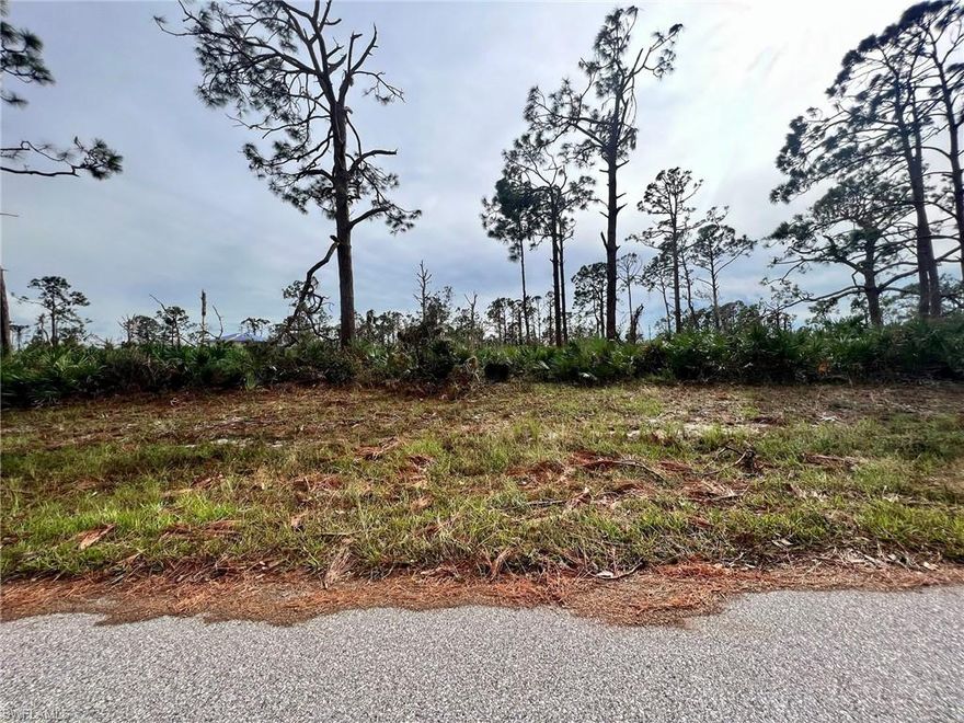 Beautiful lot offers a unique opportunity to build the home of your dreams, Situated in the Gulf Cove area of Port Charlotte a quiet area, this land boasts panoramic views and is in a convenient location close to local amenities. With ample space to design and build, this lot is perfect for those looking to create their own personal paradise. Wonderful opportunity to build your 'Old Florida' style home. Fishing, boating, kayaking, golfing throughout the year. Don't miss the chance to turn this land into your HOME!! This is a Voluntary HOA property.