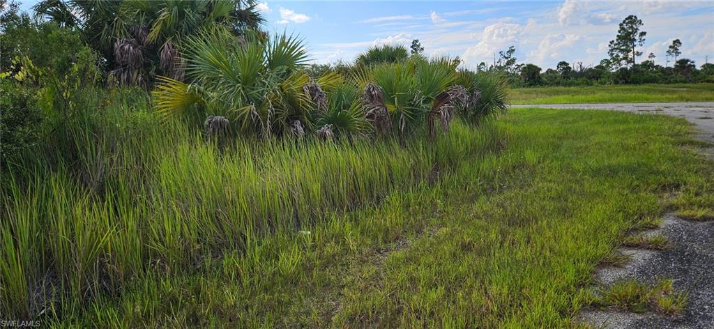 PORT CHARLOTTE - Land