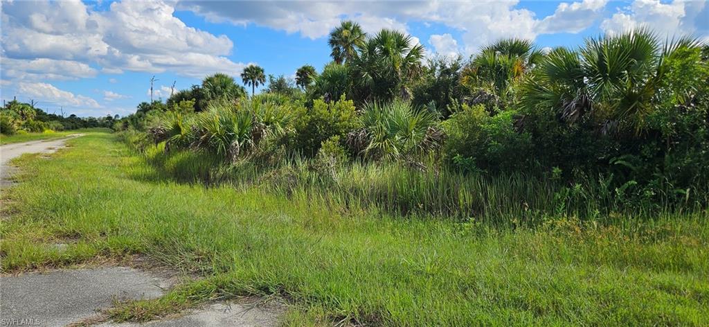 PORT CHARLOTTE - Land