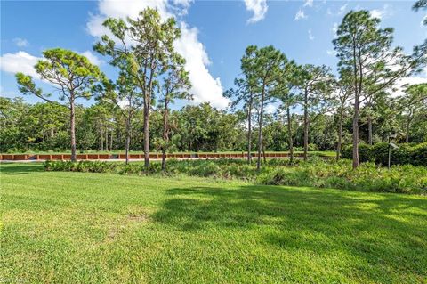 A home in BONITA SPRINGS