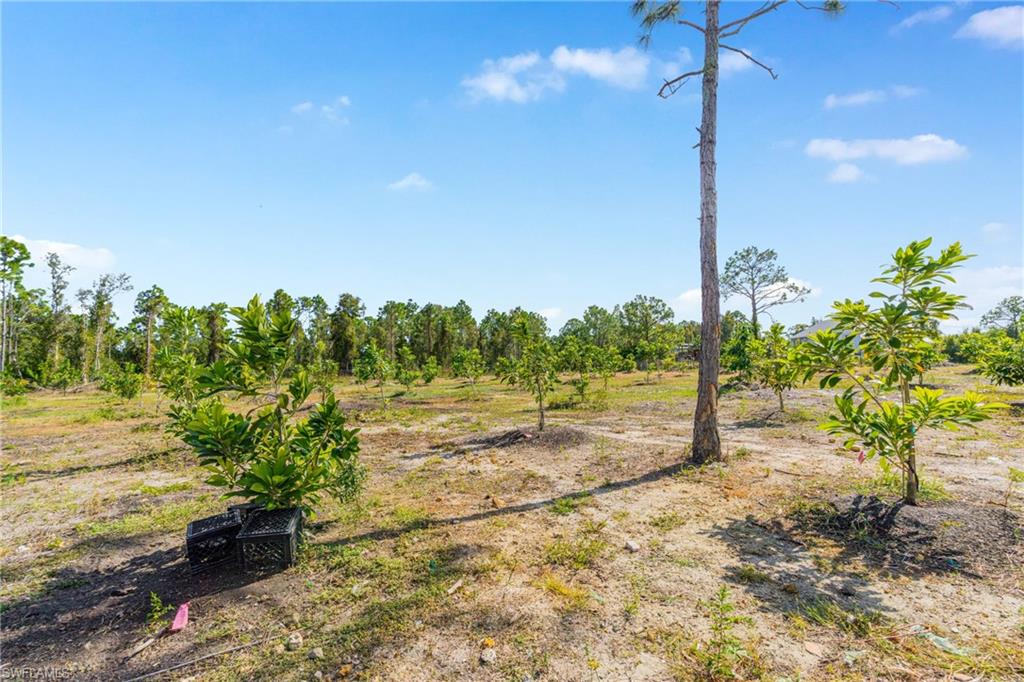 PORT CHARLOTTE - Residential