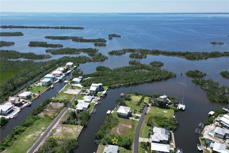 This hidden gem in Pirate Harbor is a true paradise for those who seek peaceful waterfront living in a secluded boating community. Surrounded by natural beauty and coastal Key West vibes, it offers the perfect escape from the hustle and bustle of city life. Fish all day, explore nearby islands, and cruise into some of the most breathtaking sunsets southwest Florida has to offer. Southern exposure, ensuring plenty of sun on your future pool! With close proximity to the Punta Gorda airport and Cape Coral, this community is conveniently located for those who love to travel. Need more space? Look no further, sellers have the ONLY half acre lot for sale on this  street, inquire for more details!