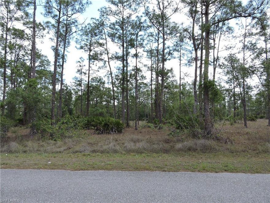 Very nice oversized half acre lot in the East part of Lehigh measuring @ 105'w x 211'd. The location is great giving you quick access to Joel Blvd and Sunshine to get to all your essential needs within 10 minutes. The lot has some pine, but mostly cleared. Not in a flood zone either. If you are looking for a great place to build your dream home, this is it! Call today to place your offer before its gone. Don't wait until its too late.