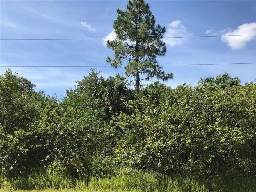 Price reduced. Approx. 2/3 Uplands per the DEP Wetland Determination attached. No ERP will be required if the wetlands are avoided. Enjoy the peaceful, country lifestyle of Golden Gate Estates, just minutes from the splendor and beautiful beaches of Naples, Florida. Build the home of your dreams on this wonderful 2.27 acre lot. Zoning allows 2 horses per acre.