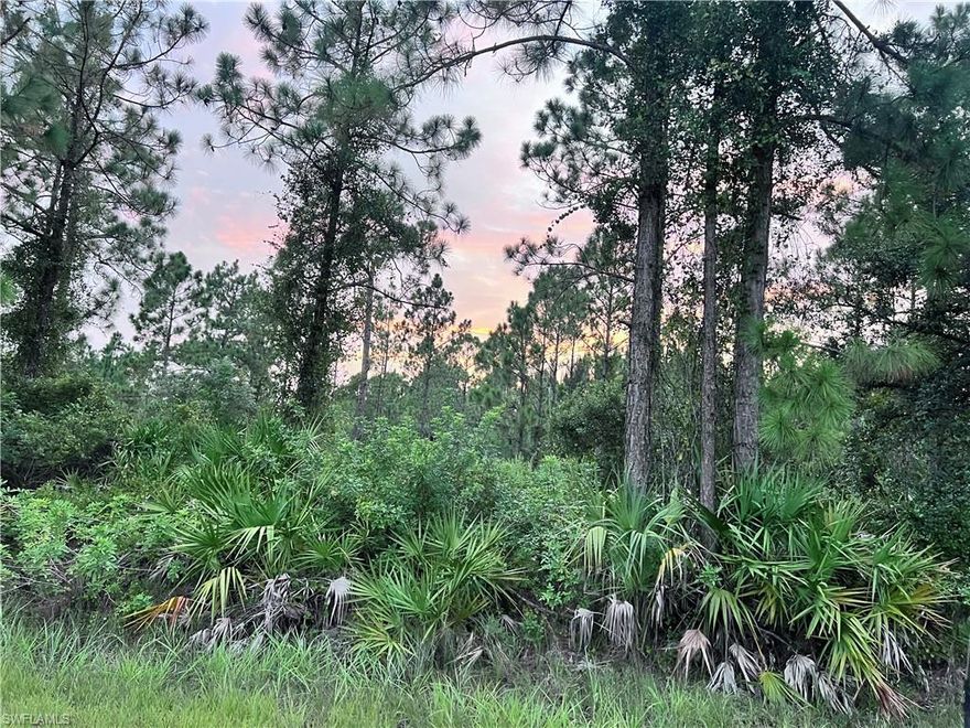 Considering an investment in a residential lot? This half-acre parcel presents countless opportunities. It's conveniently located near a main road and surrounded by new construction homes that enhance the area's appeal. Visit 214 Louis Ave to see for yourself!