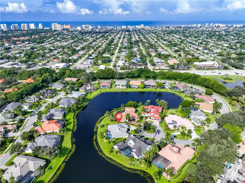 903 Spanish Moss TRL