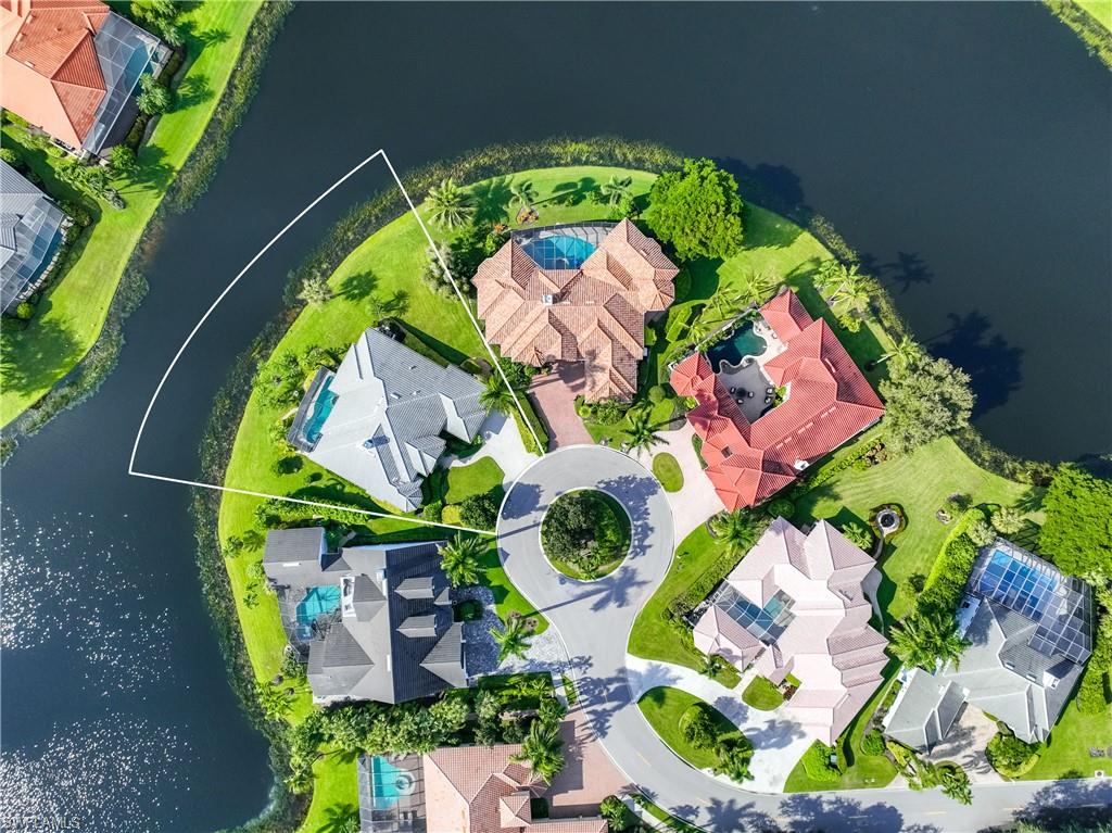 903 Spanish Moss TRL