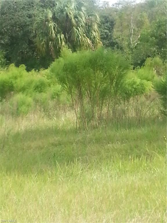 Wildcat Farms - Residential