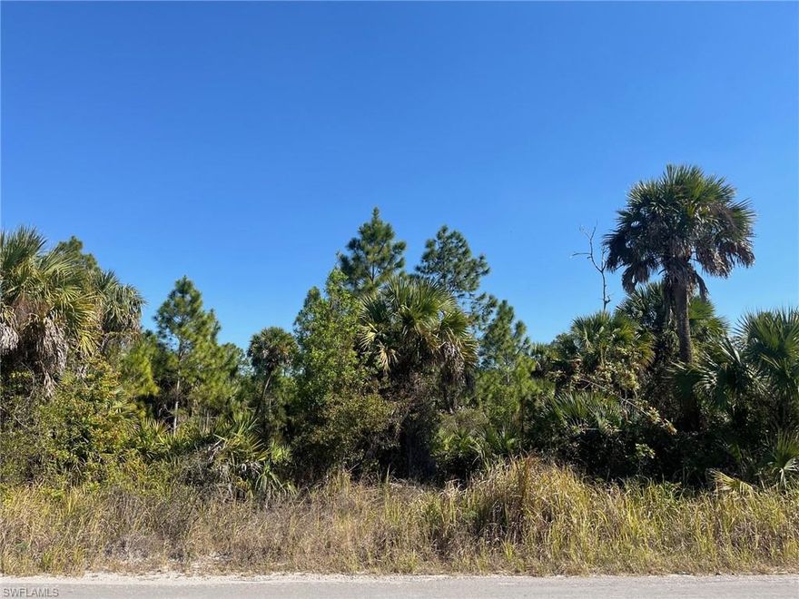 4.9 acres of nice land in North Belle Meade. No wetland information available but looks high and dry with many beautiful pines & palms. Adjacent 4.9 acres also available (ML #226003425).
