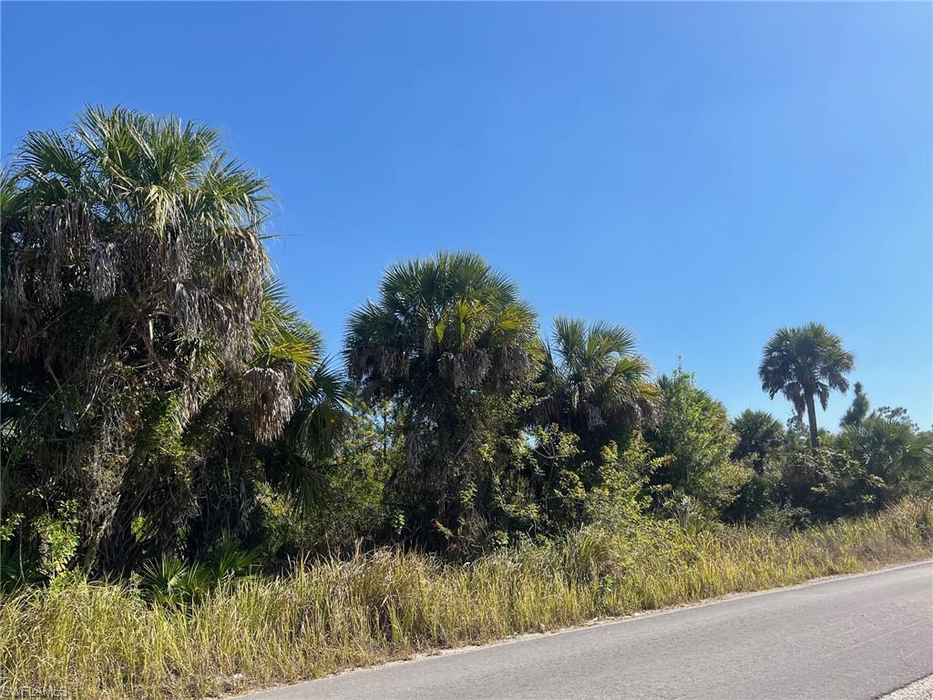 NORTH BELLE MEADE - Land