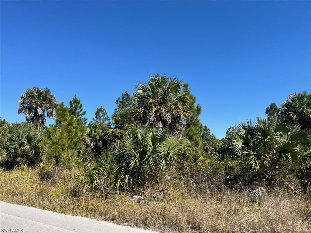 NORTH BELLE MEADE - Land