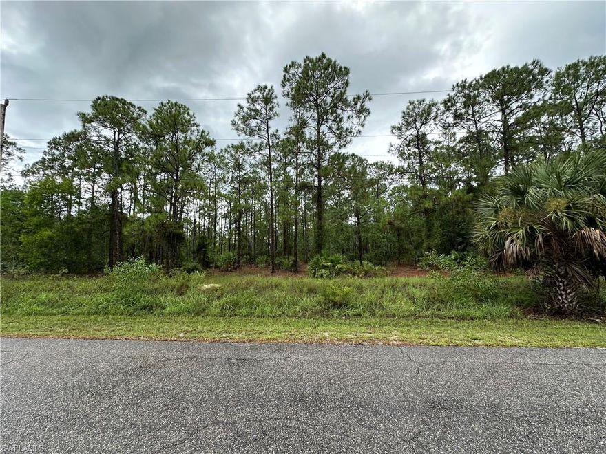 Such a fantastic location 1/2 ACRE dead end lot!! Centrally located and only minutes to Joel Blvd and Lee Blvd, plenty of shops and restaurants nearby. This area is growing and prices are going up, this is a great investment opportunity!