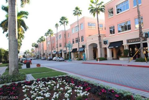 A home in BONITA SPRINGS